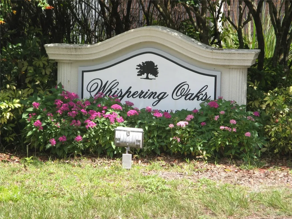 13725 Juniper Blossom Drive Tampa FL 33618