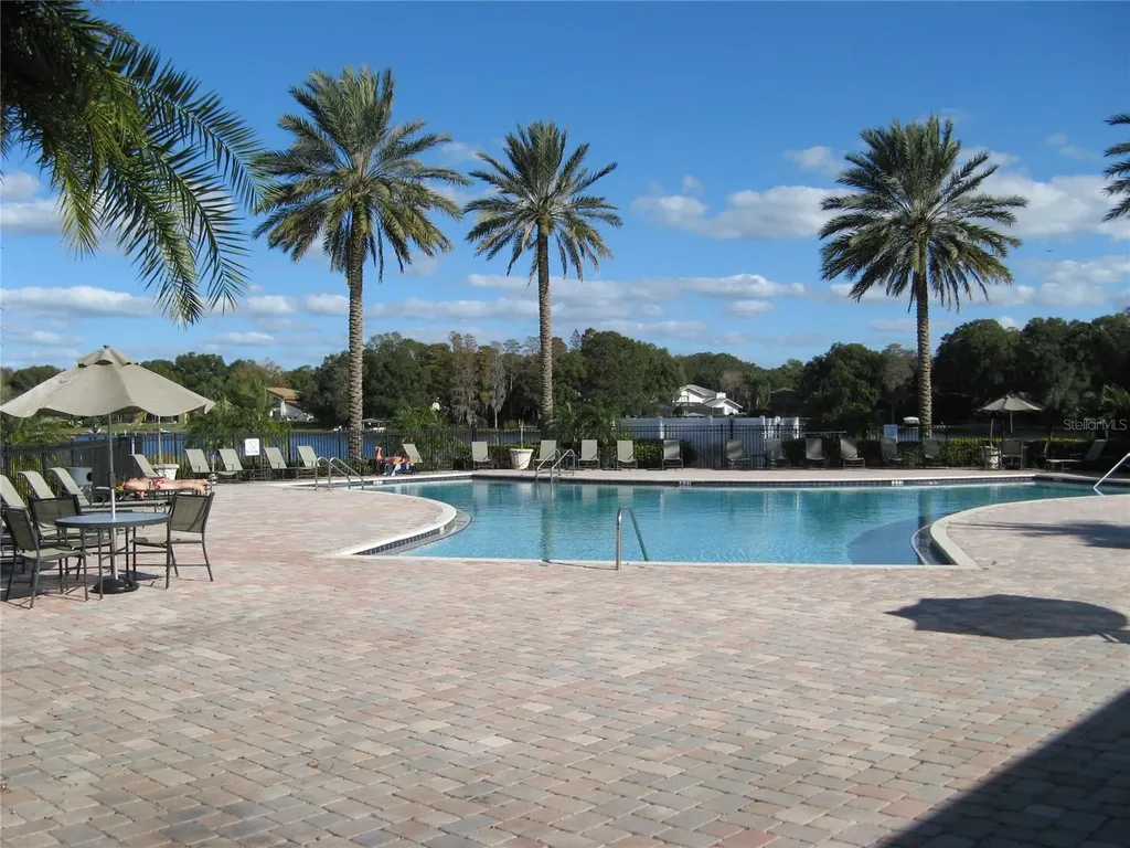 13725 Juniper Blossom Drive Tampa FL 33618