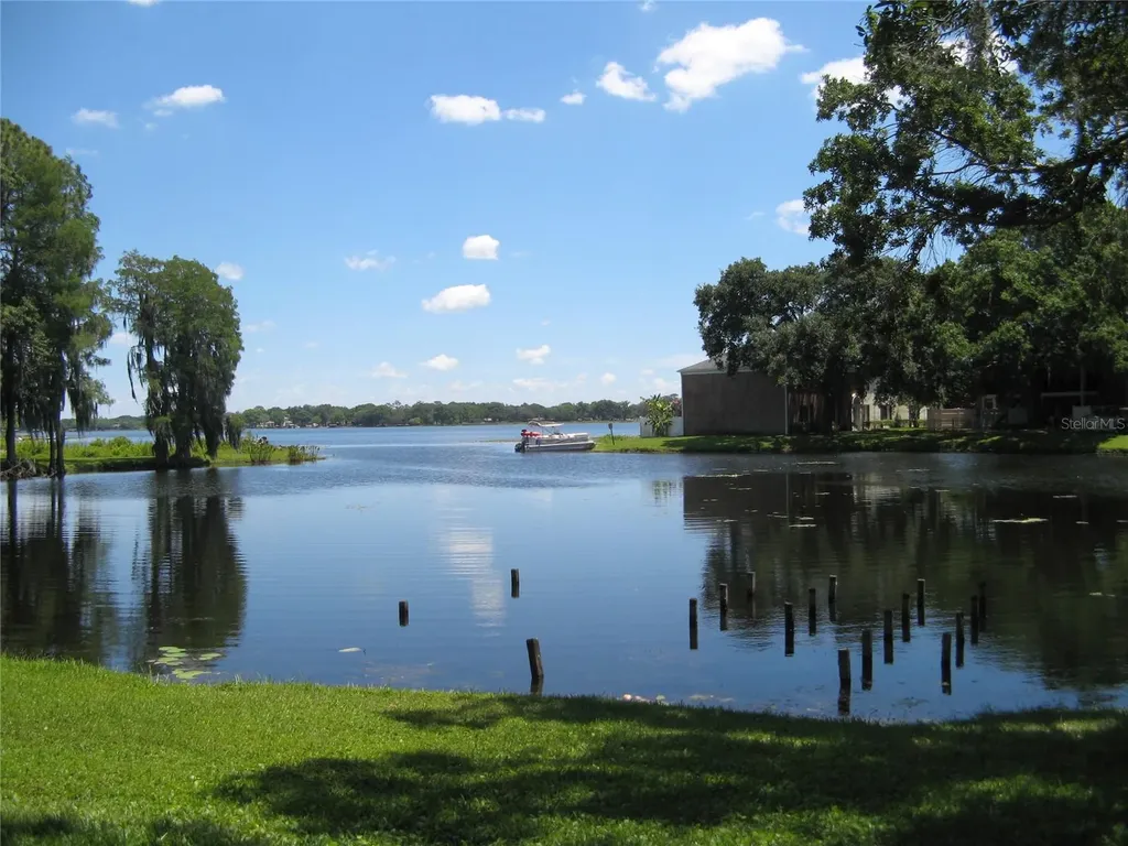 13725 Juniper Blossom Drive Tampa FL 33618