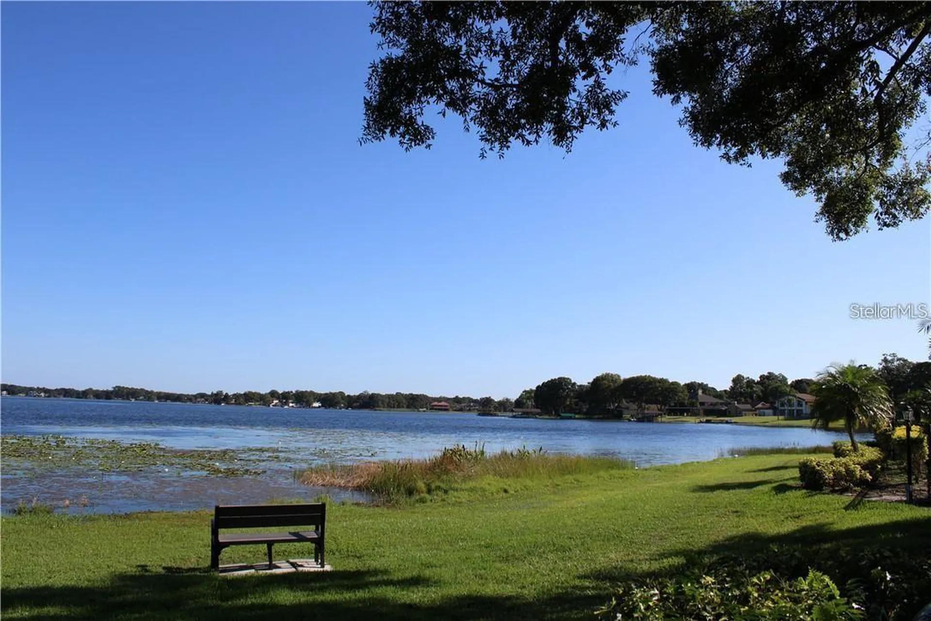 13725 Juniper Blossom Drive Tampa FL 33618