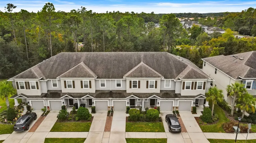 26399 Limestone Springs Way Wesley Chapel FL 33544