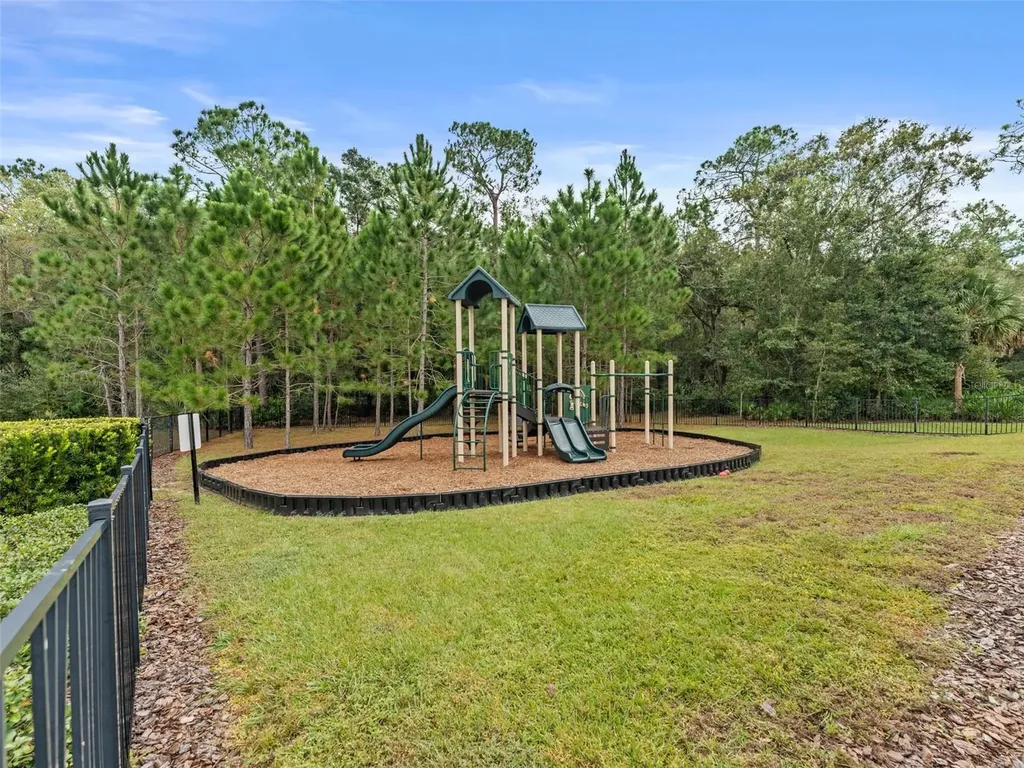 26399 Limestone Springs Way Wesley Chapel FL 33544