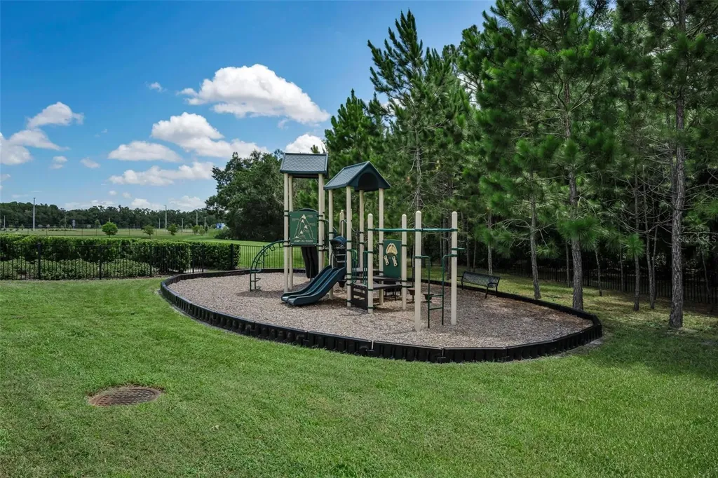 26399 Limestone Springs Way Wesley Chapel FL 33544