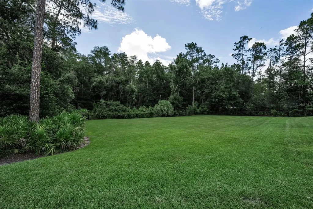 26399 Limestone Springs Way Wesley Chapel FL 33544