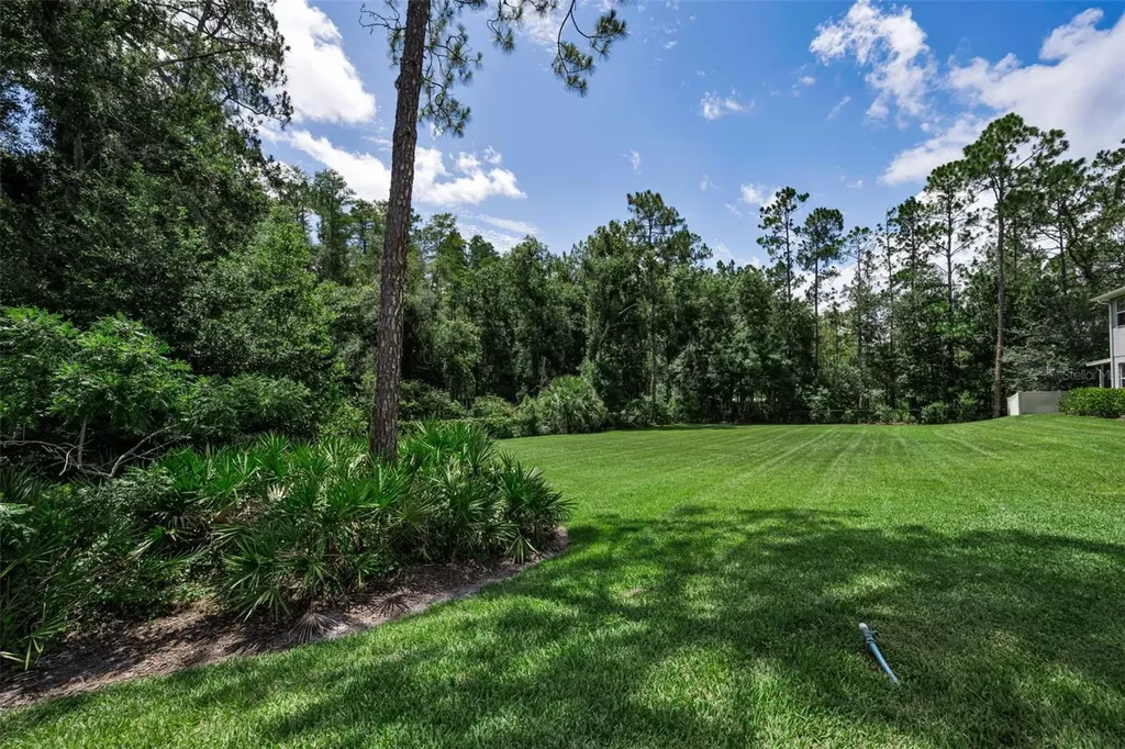 26399 Limestone Springs Way Wesley Chapel FL 33544