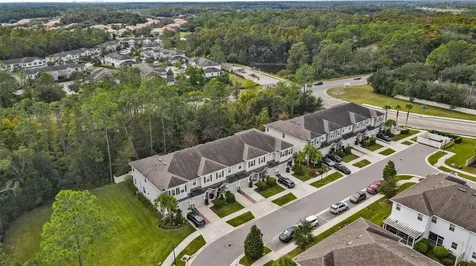 26399 Limestone Springs Way Wesley Chapel FL 33544