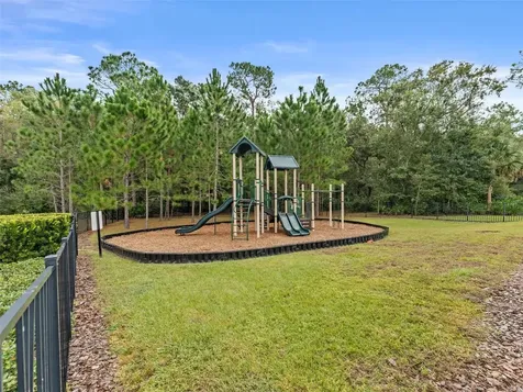 26399 Limestone Springs Way Wesley Chapel FL 33544