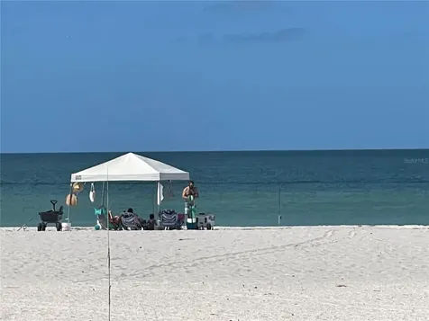 1390 Gulf Boulevard Clearwater Beach FL 33767