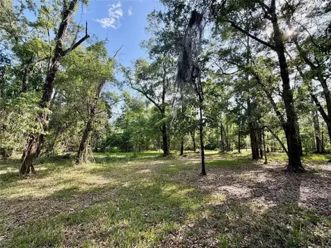 7622 NE 96th Avenue Gainesville FL 32609