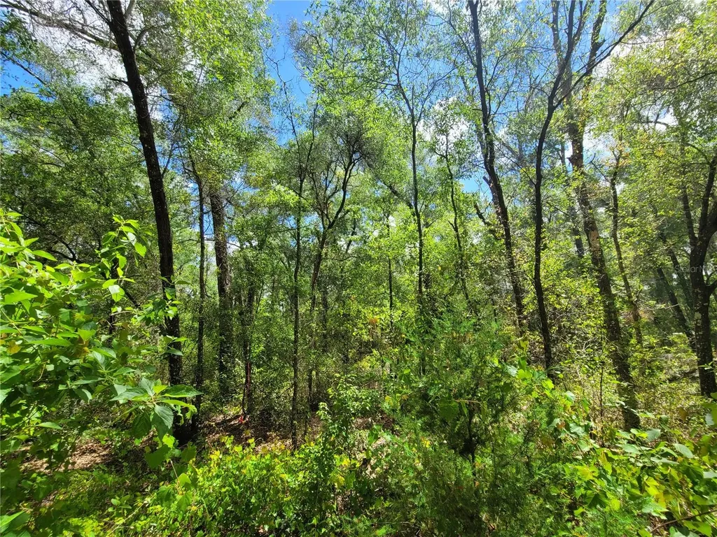 910 Ferncreek Avenue Inverness FL 34453