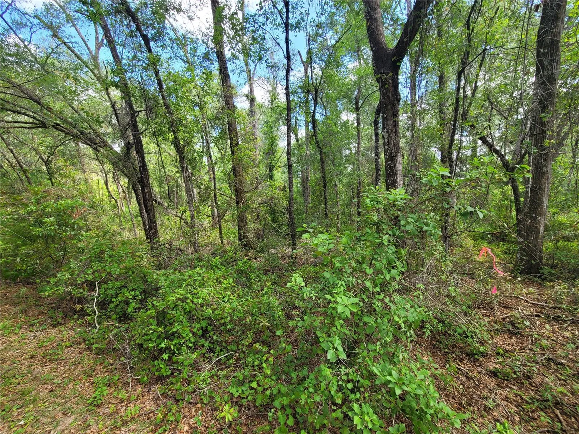 910 Ferncreek Avenue Inverness FL 34453