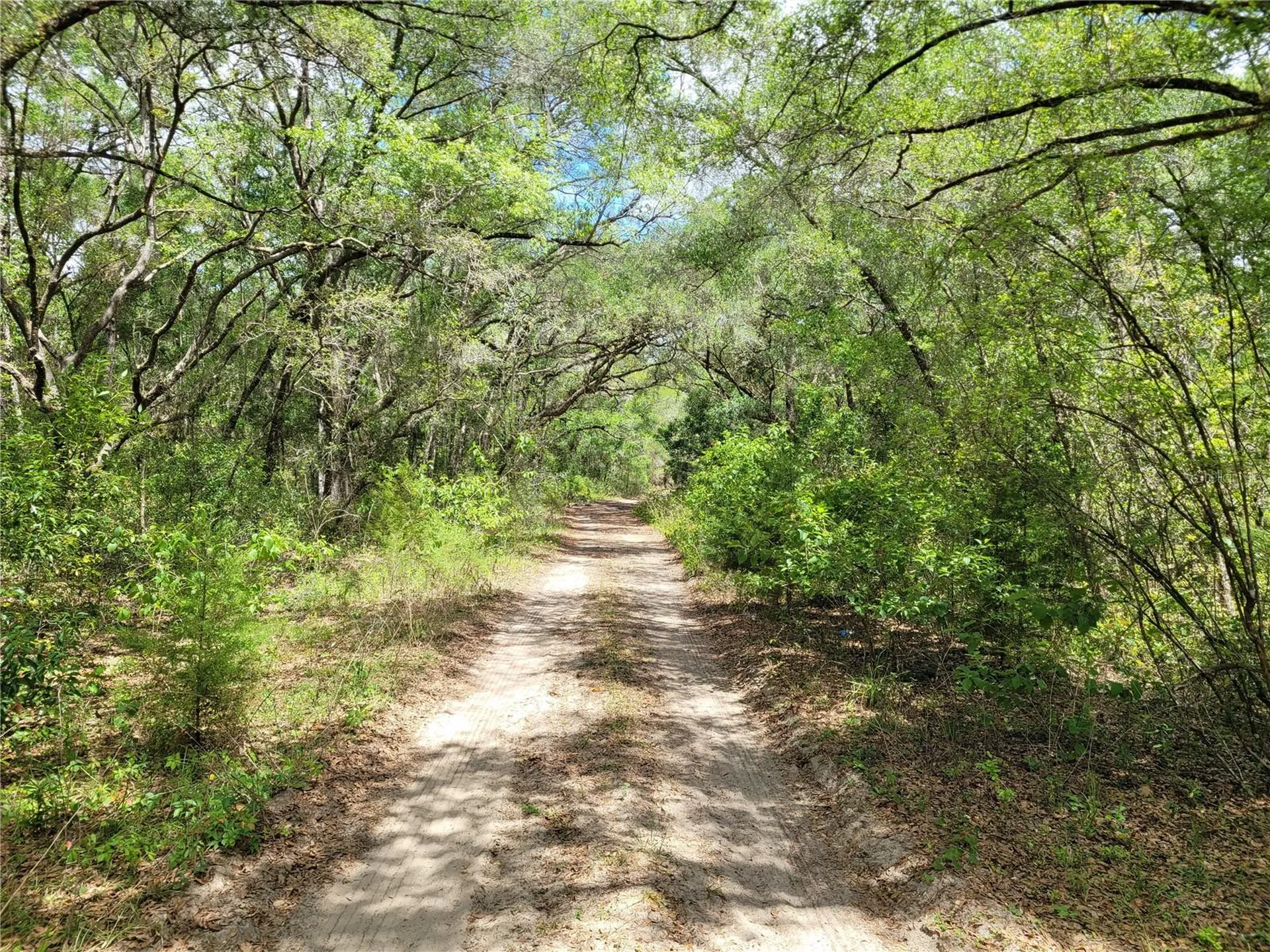 910 Ferncreek Avenue Inverness FL 34453