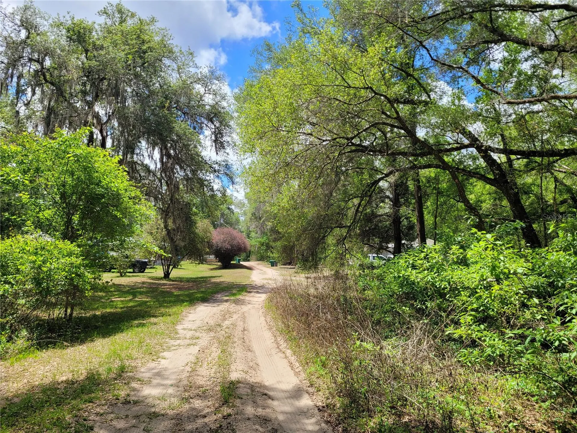 910 Ferncreek Avenue Inverness FL 34453
