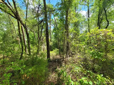 910 Ferncreek Avenue Inverness FL 34453