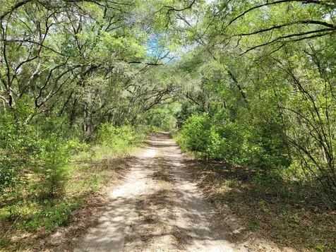910 Ferncreek Avenue Inverness FL 34453