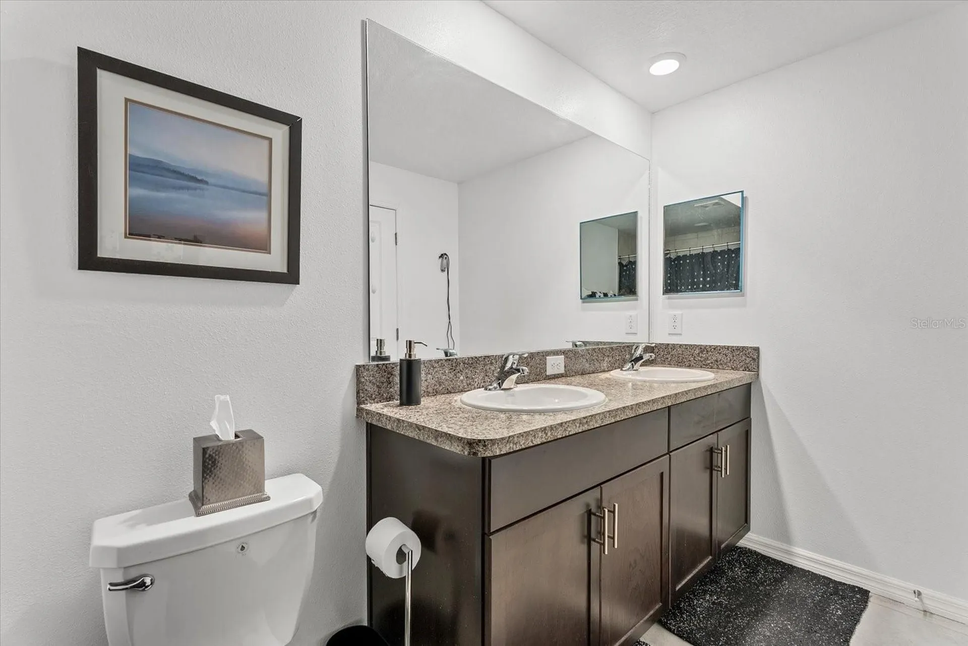 10426 Shady Preserve Drive Riverview FL 33578