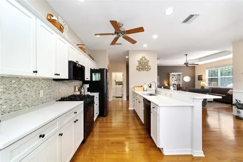 1726 Latta Court The Villages FL 32162