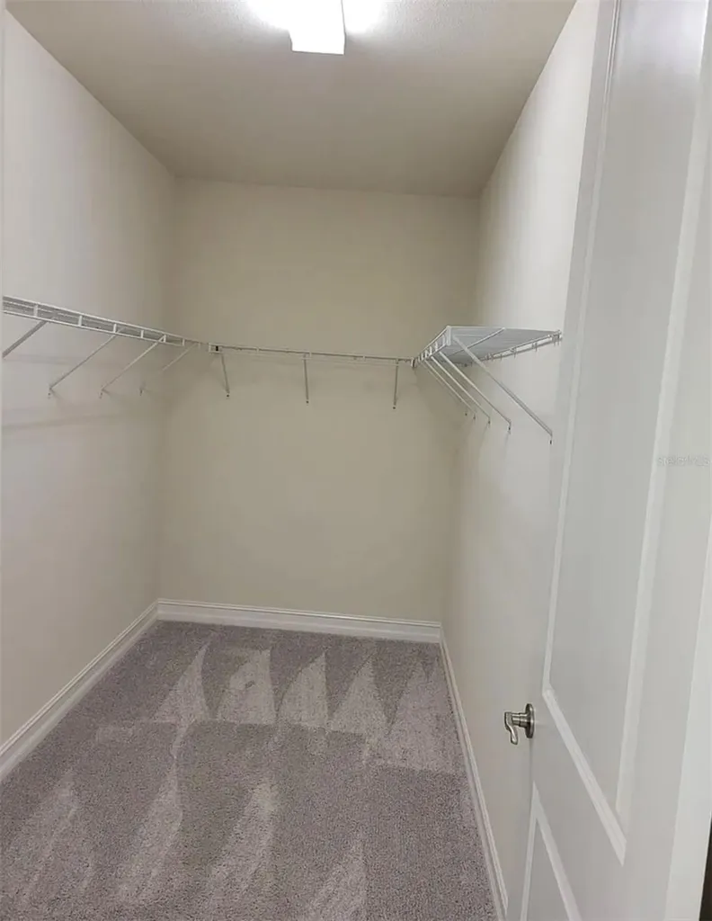 3231 Painted Blossom Court Lutz FL 33558