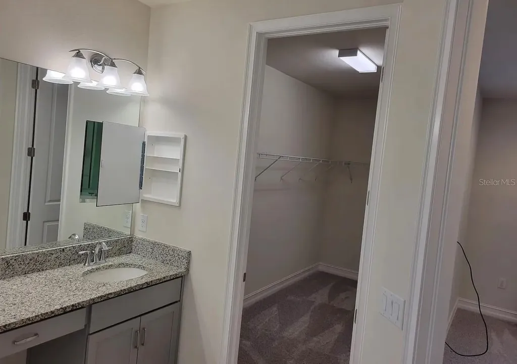 3231 Painted Blossom Court Lutz FL 33558
