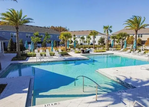 3231 Painted Blossom Court Lutz FL 33558