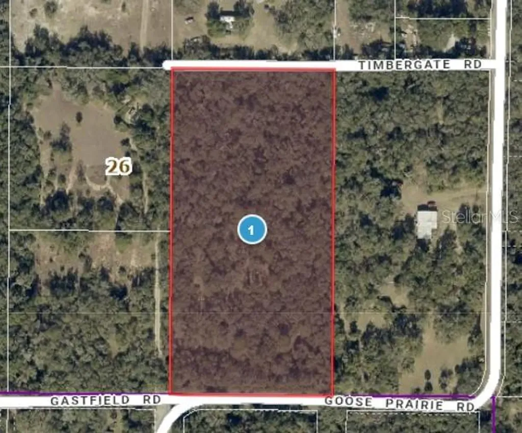 10755 Goose Prairie Road Leesburg FL 34788