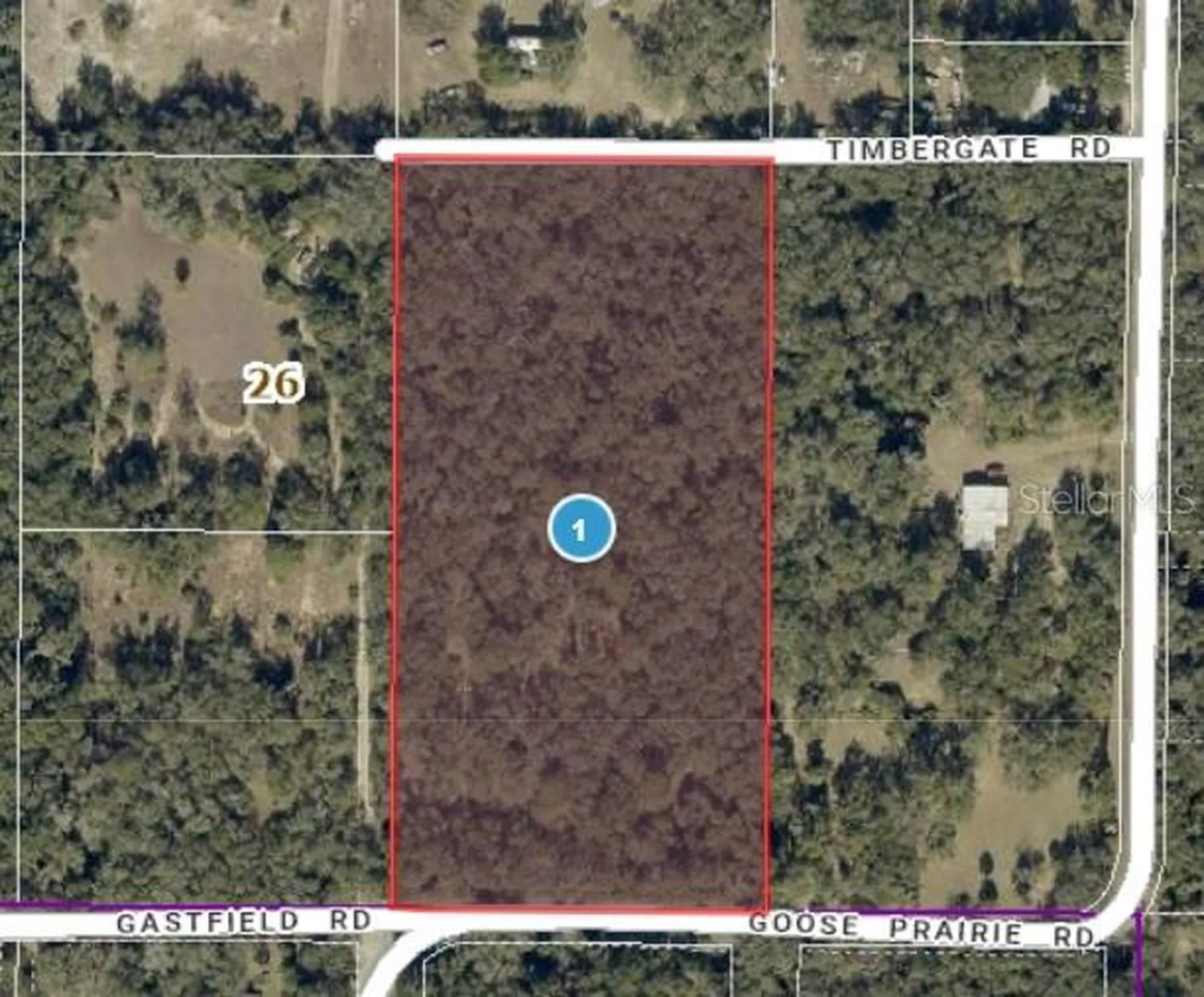 10755 Goose Prairie Road Leesburg FL 34788