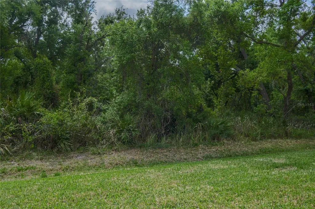 3208 Woodland Fern Drive Parrish FL 34219