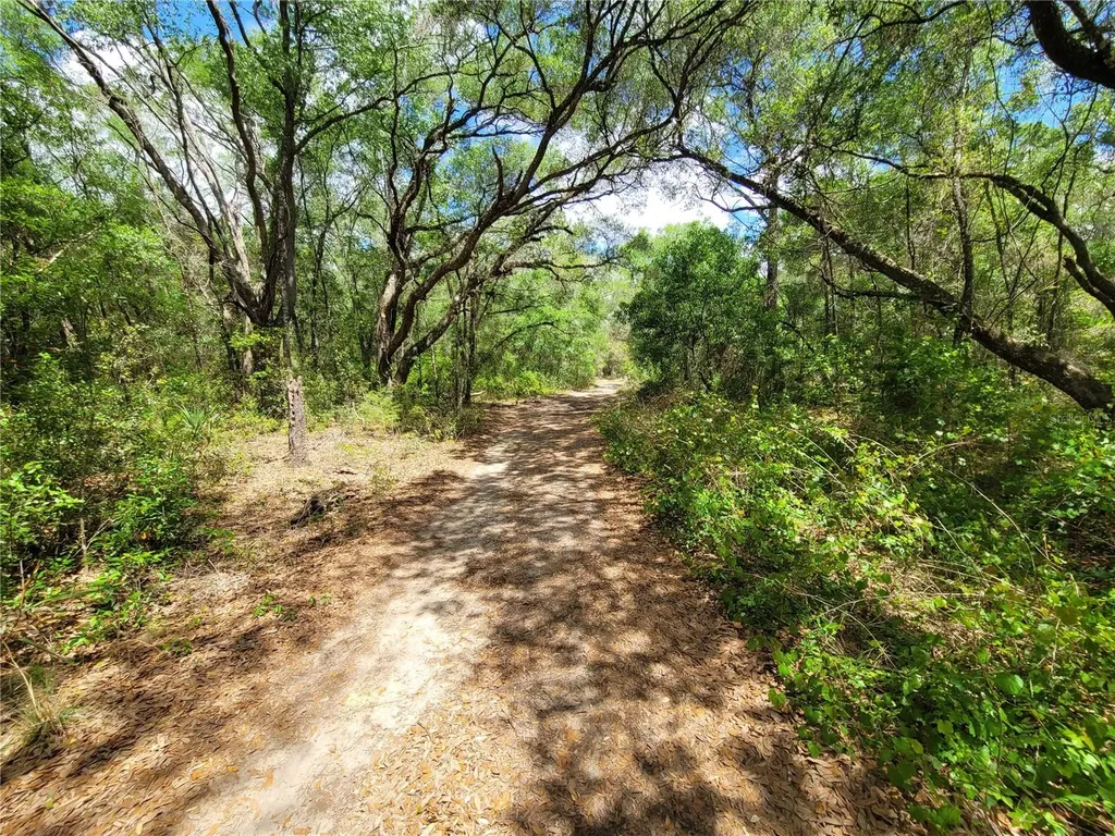 912 Ferncreek Avenue Inverness FL 34453