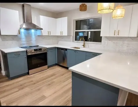 1012 Diego Court Lady Lake FL 32159