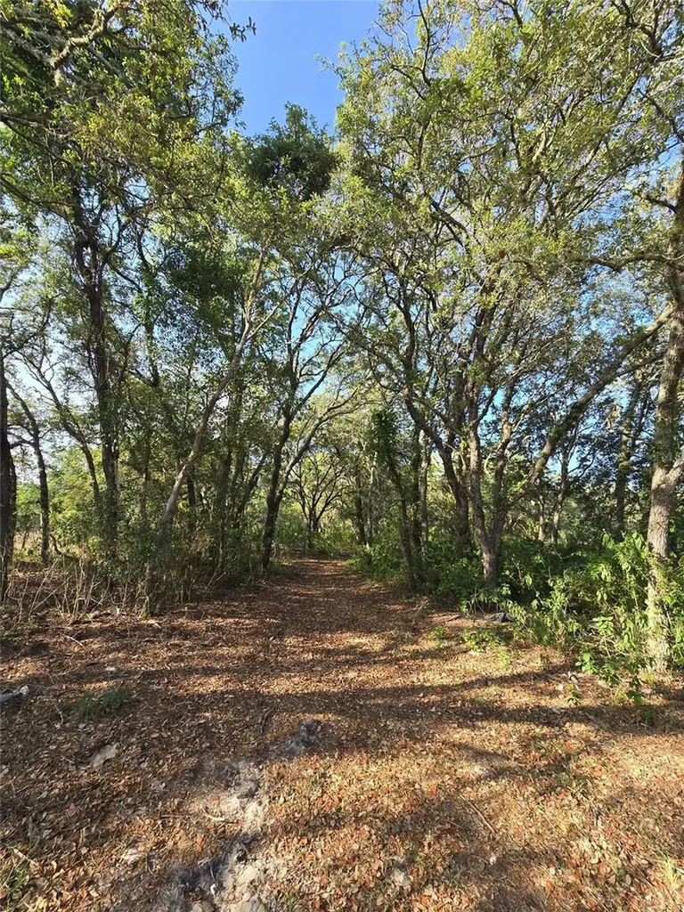 14515 Giddyup Lane Hudson FL 34669