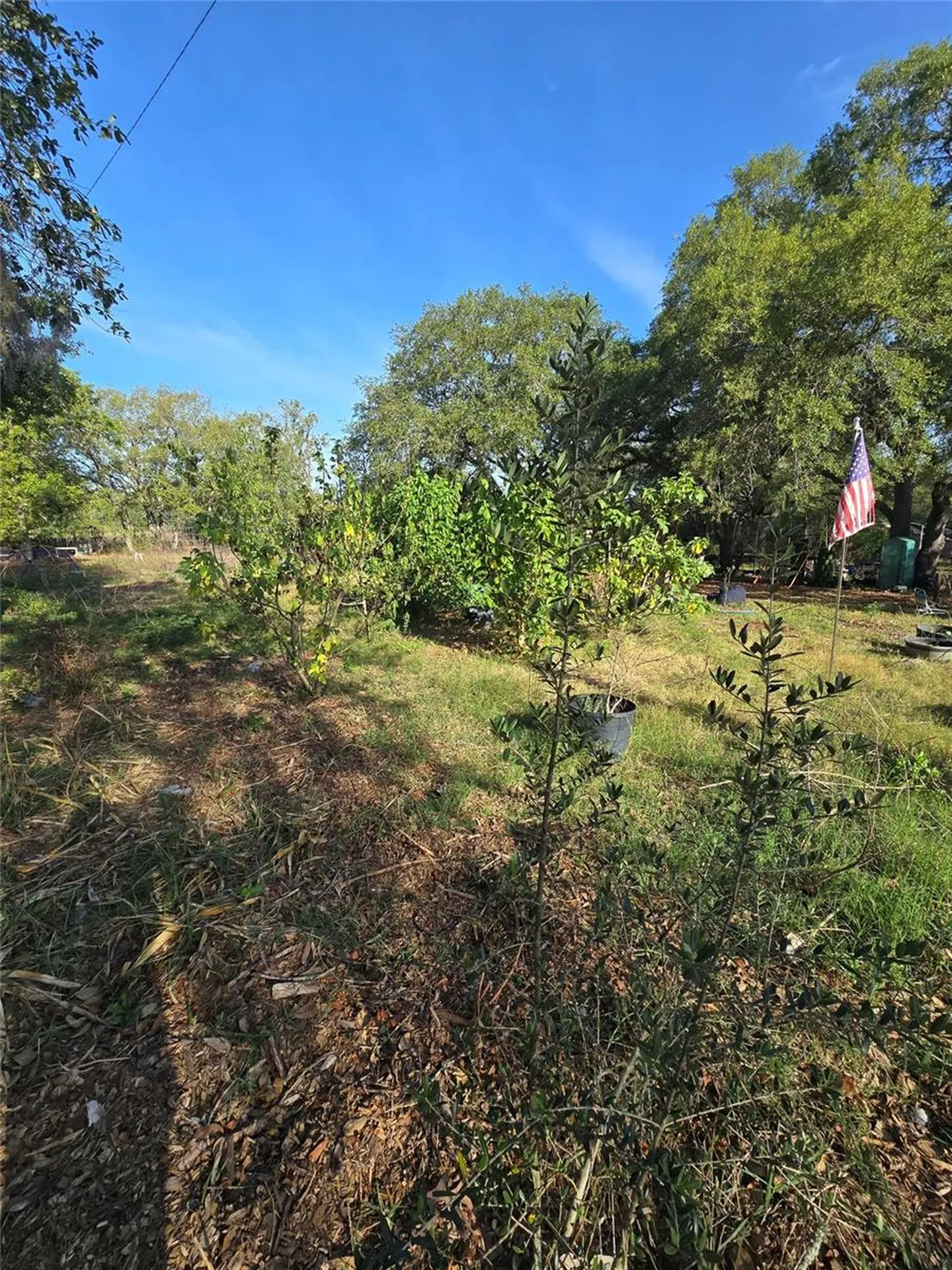 14515 Giddyup Lane Hudson FL 34669