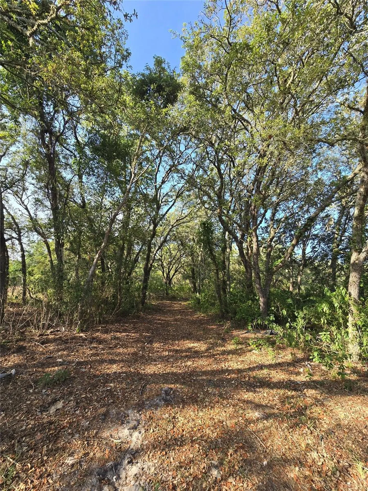 14515 Giddyup Lane Hudson FL 34669