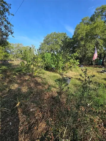 14515 Giddyup Lane Hudson FL 34669