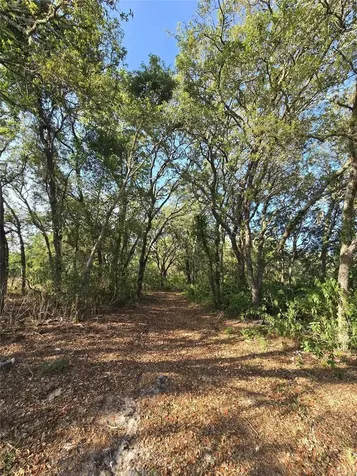 14515 Giddyup Lane Hudson FL 34669