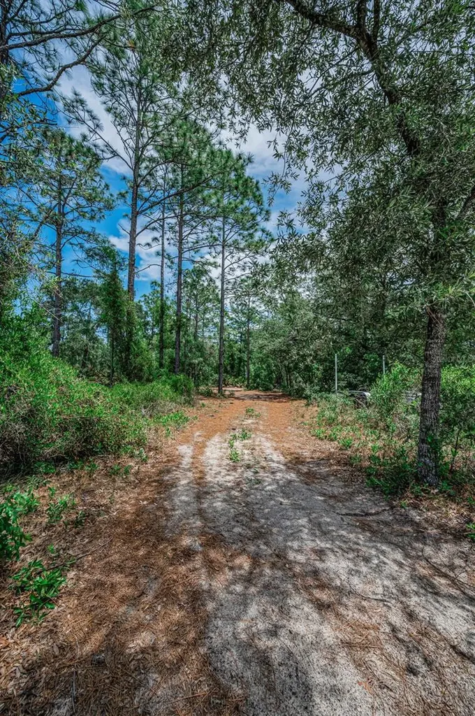 12123 Fulmar Road Weeki Wachee FL 34614