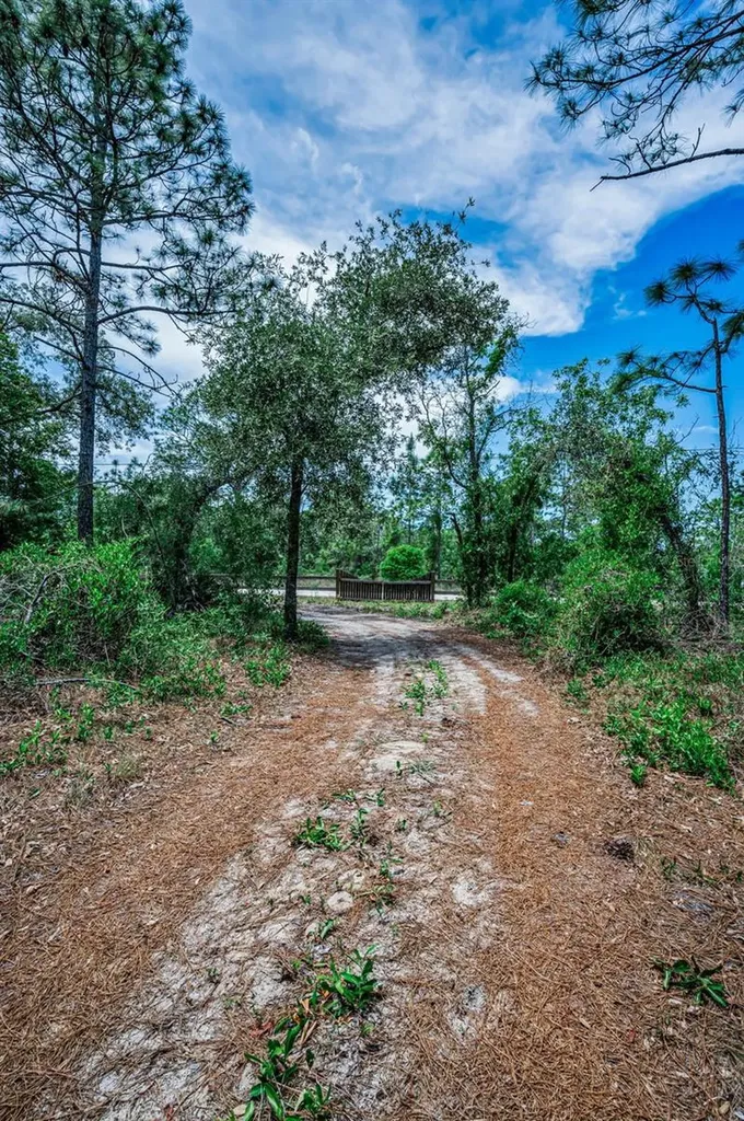 12123 Fulmar Road Weeki Wachee FL 34614