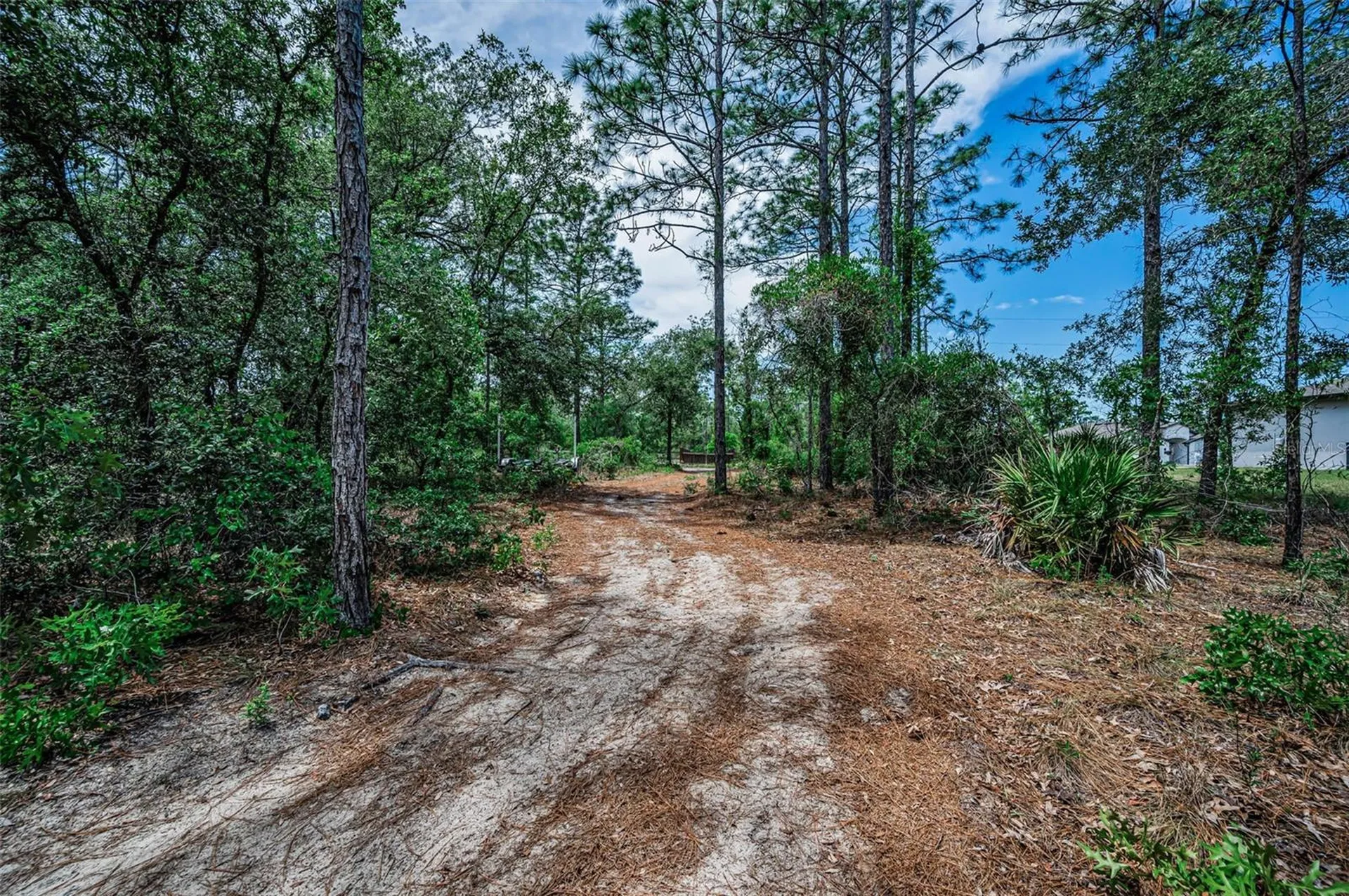 12123 Fulmar Road Weeki Wachee FL 34614