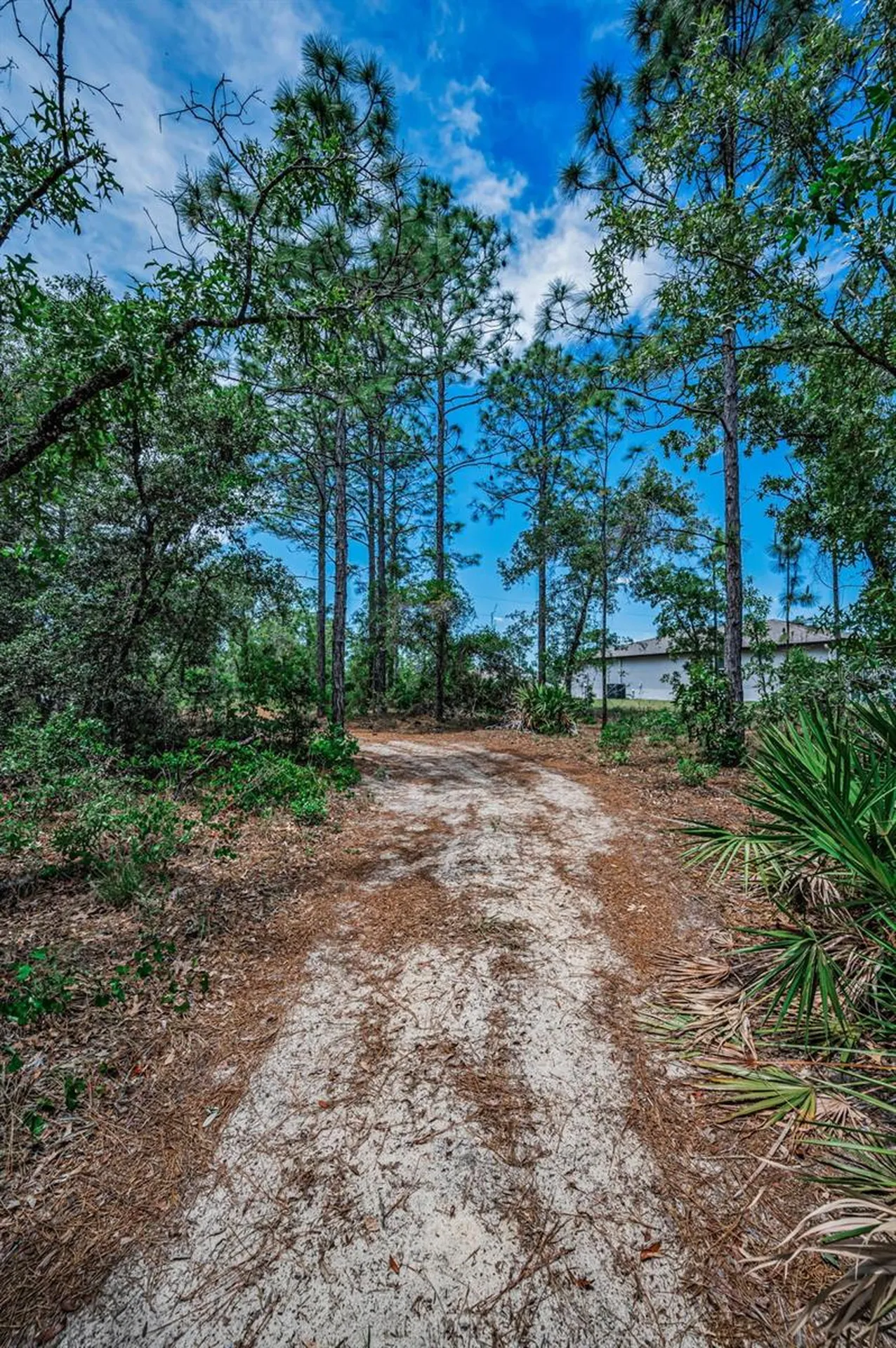12123 Fulmar Road Weeki Wachee FL 34614