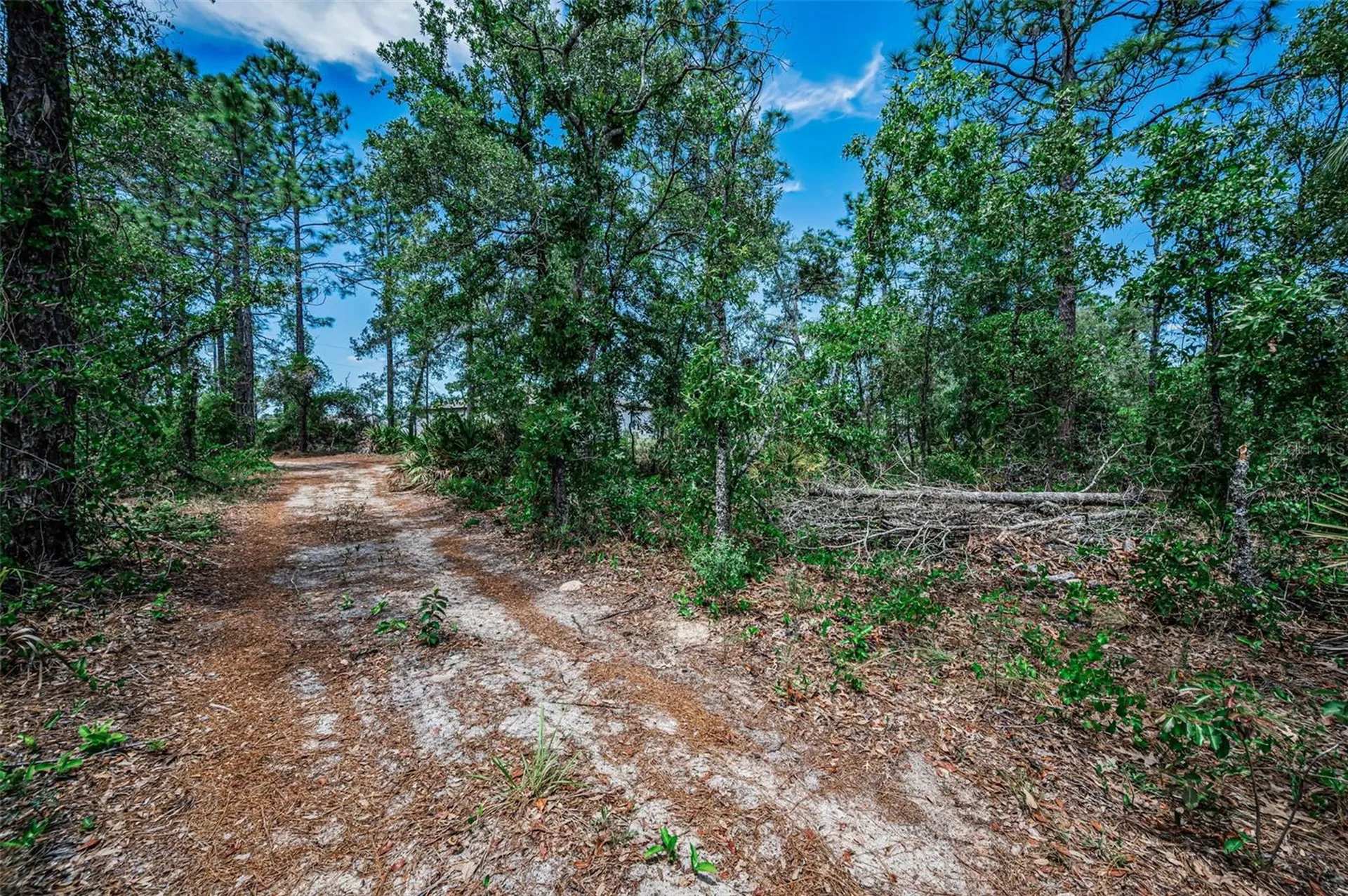 12123 Fulmar Road Weeki Wachee FL 34614