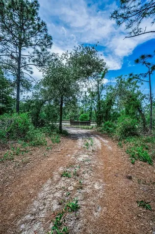 12123 Fulmar Road Weeki Wachee FL 34614