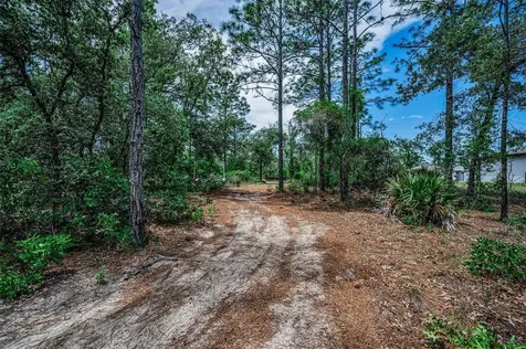 12123 Fulmar Road Weeki Wachee FL 34614