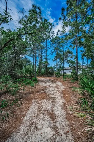 12123 Fulmar Road Weeki Wachee FL 34614