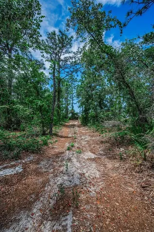 12123 Fulmar Road Weeki Wachee FL 34614