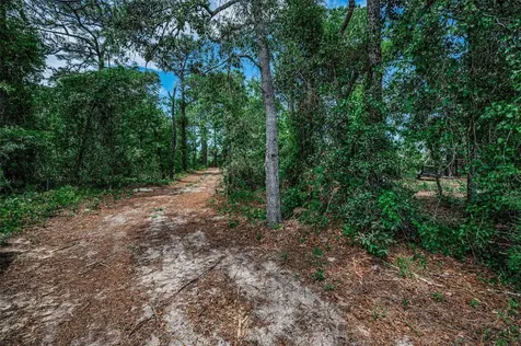 12123 Fulmar Road Weeki Wachee FL 34614