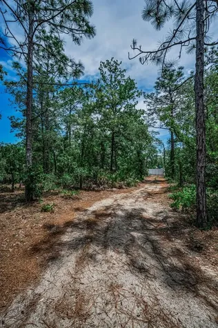 12123 Fulmar Road Weeki Wachee FL 34614