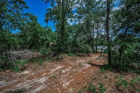 12123 Fulmar Road Weeki Wachee FL 34614