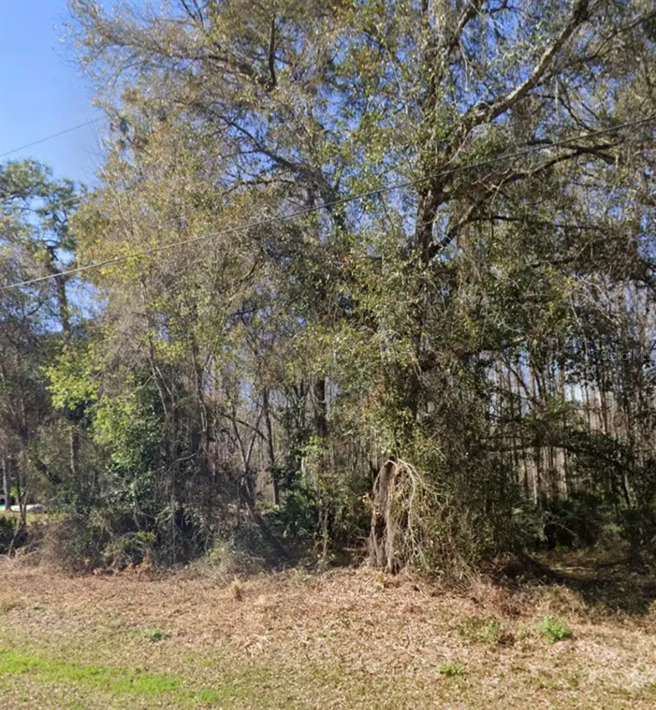 Key Lime New Port Richey FL 34654