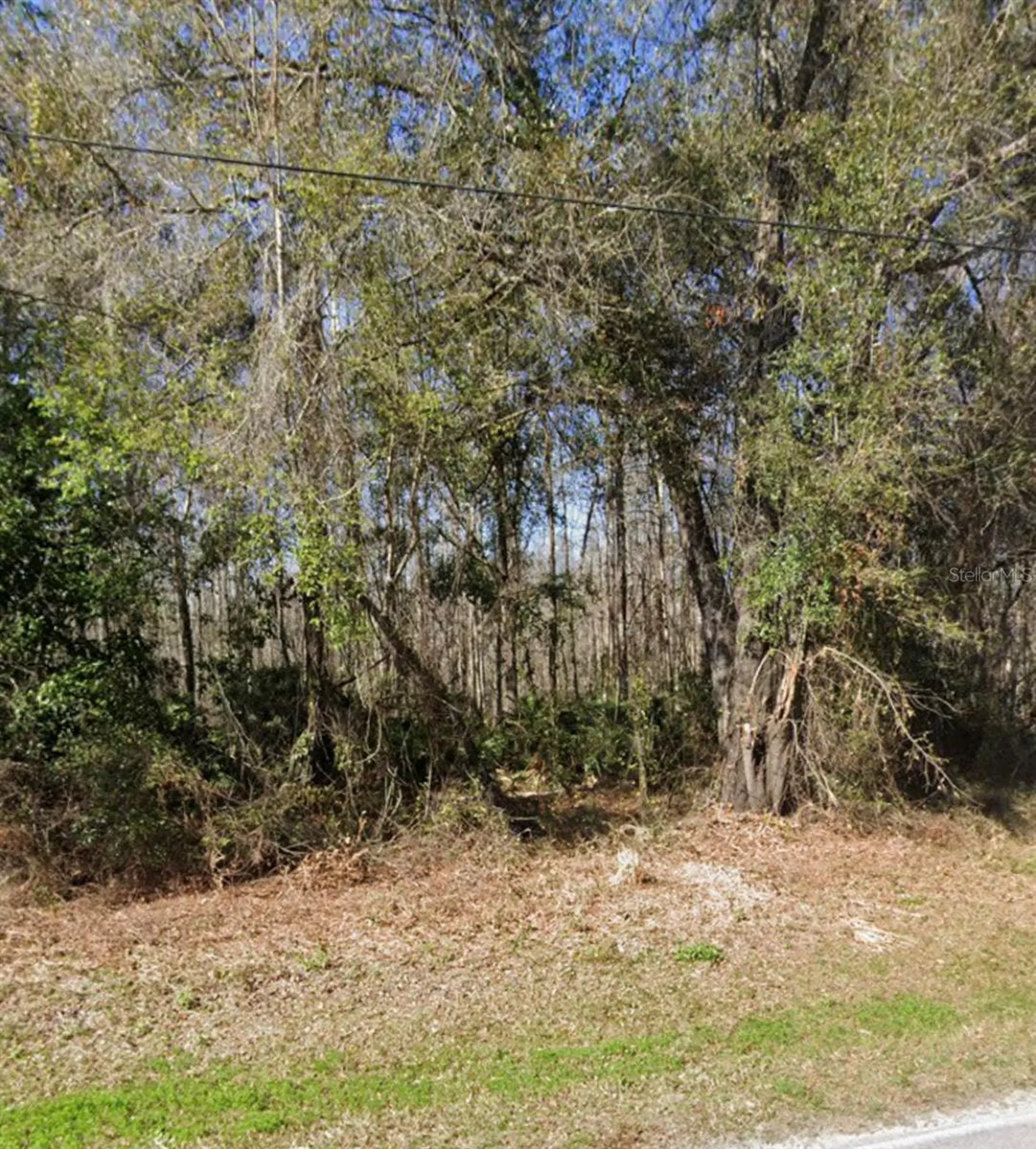 Key Lime New Port Richey FL 34654