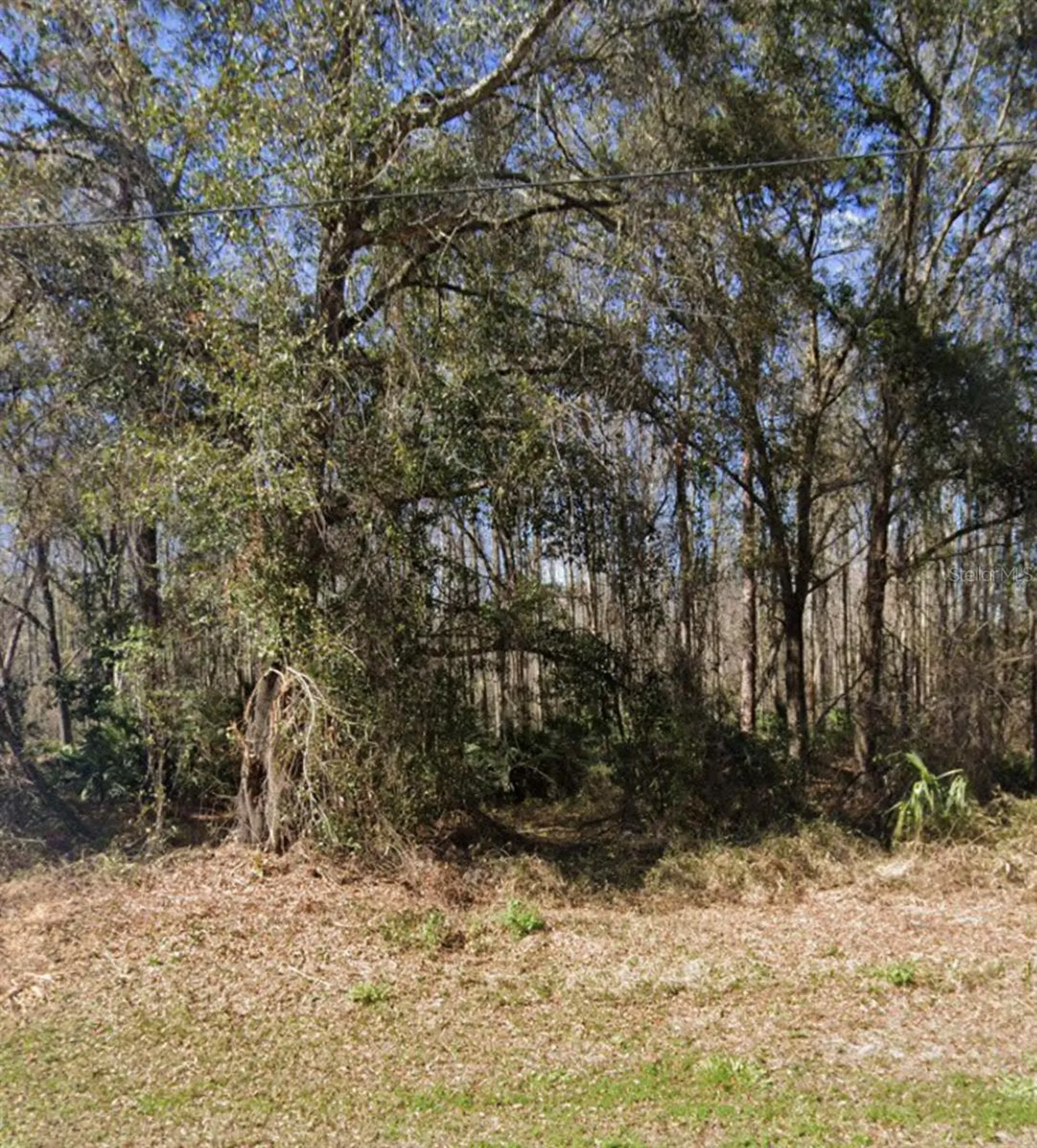 Key Lime New Port Richey FL 34654
