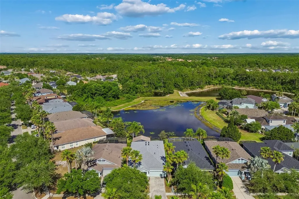 20133 Heron Crossing Drive Tampa FL 33647